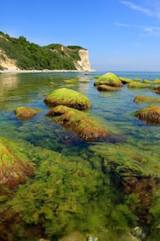 Cape Arkona