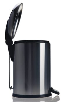 Pedal bin open