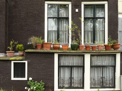 in Amsterdam