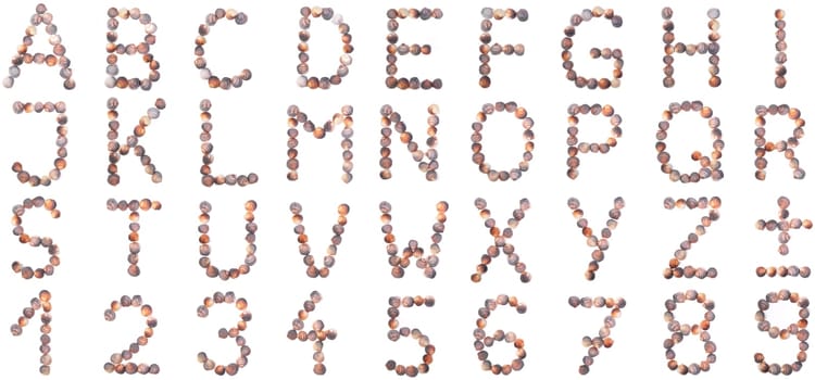 Seashell Alphabet