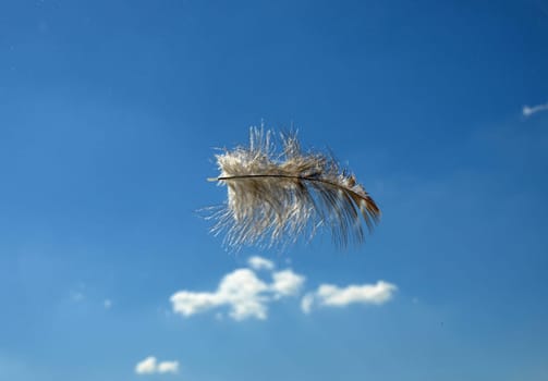 Light as a feather