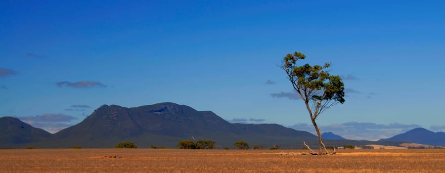 Stirling Range