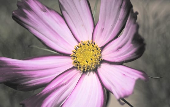 color my soul...