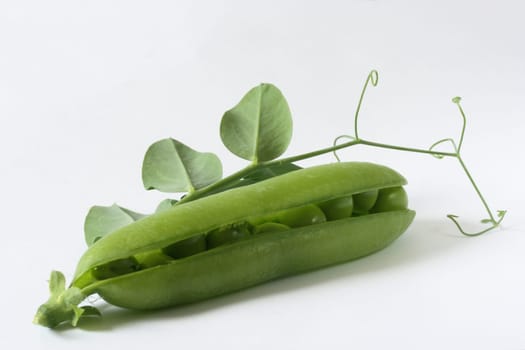 fresh pea pod with leaves