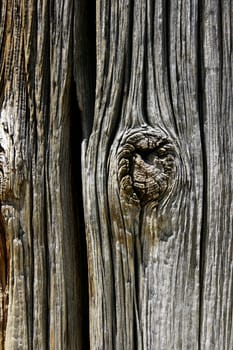 weathered wood grain
