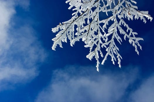 Winter 3
