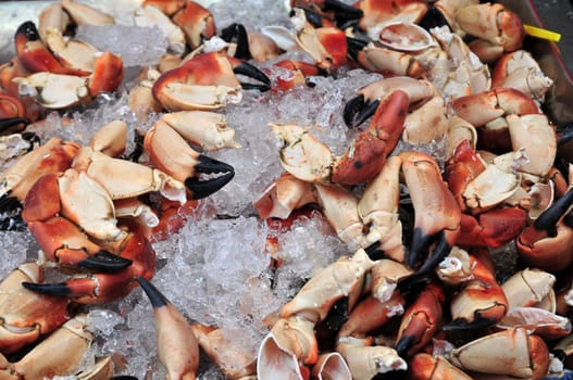 Crab claws
