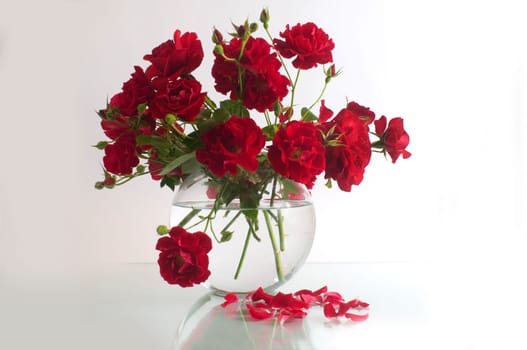 red roses