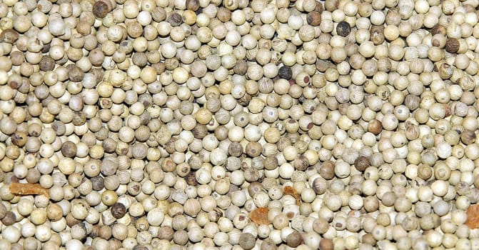 white peppercorns