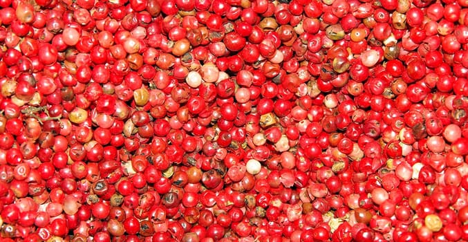 red peppercorns