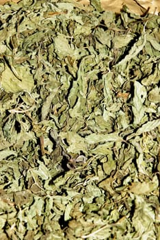 Dried mint leaves
