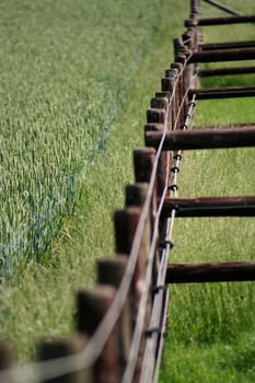 Pasture fence