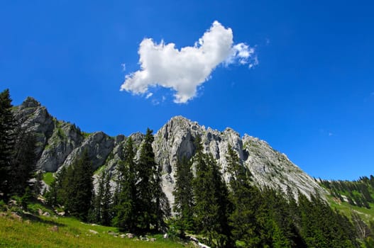 Summer Day,Gastlosen,Fribourg Alps,Switzerland