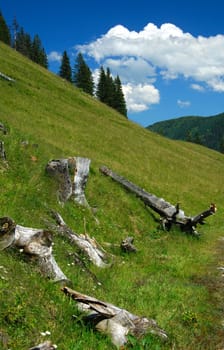 Steep meadow slope,Fribourg Alps,Switzerland