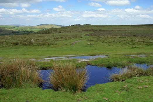 Out and about in Dartmoor with a view of the Logan Stones. Devon,South West England