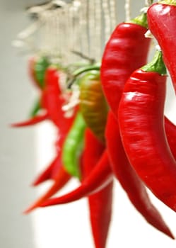 Chillis drying
