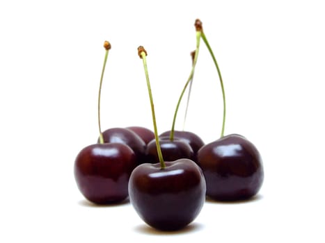 Cherries