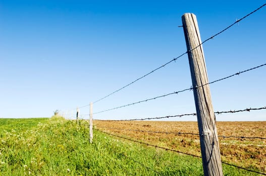Barbwire fence