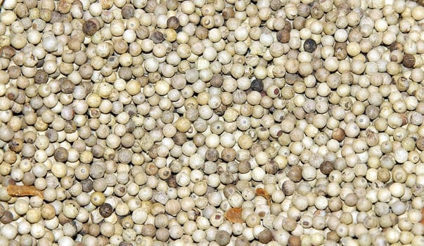 white peppercorns