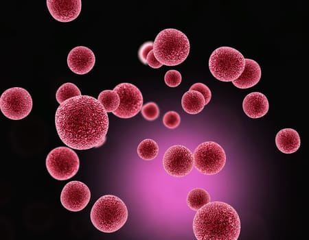 Virus