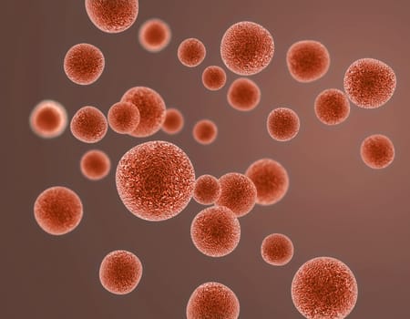 Virus