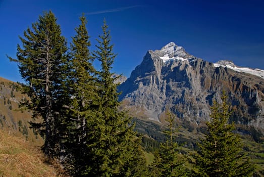 Wetterhorn