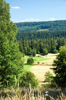 in the mountains - view of the valley
