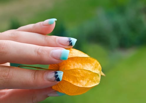 Woman's hand with physalis