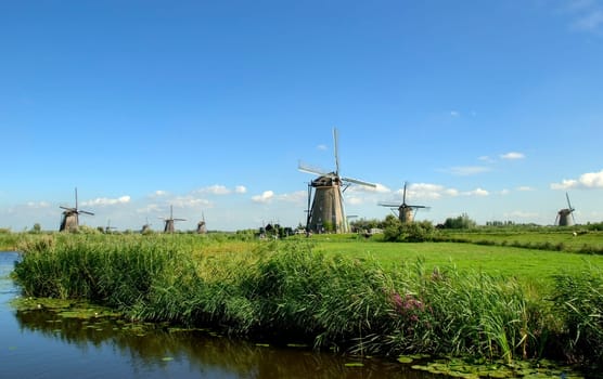Eight windmills in Kinderdijk
