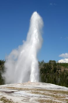 Old Faithful in Yellowstone