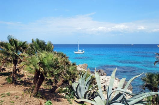 Caribbean 4348