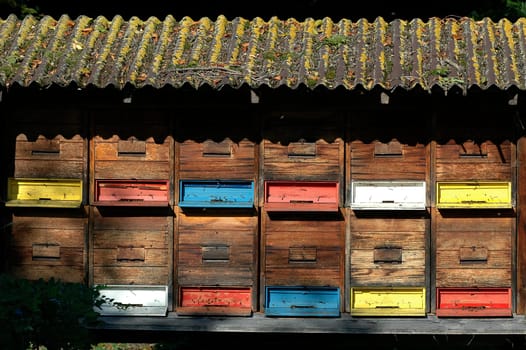 Beehive