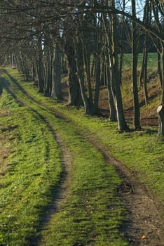 Dirt road