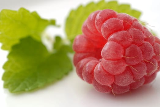 Raspberry 08