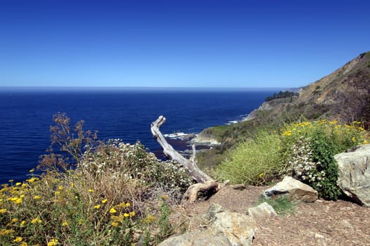 California,Pacific Coast