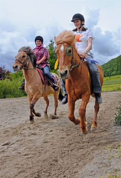 Show riding