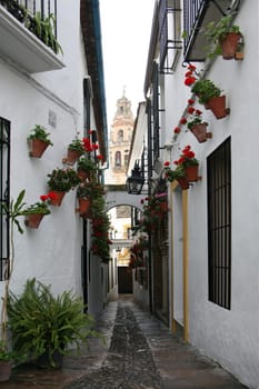Alley in Cordoba