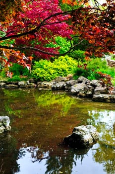 Pond in zen garden