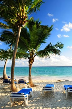 Sandy beach of tropical resort
