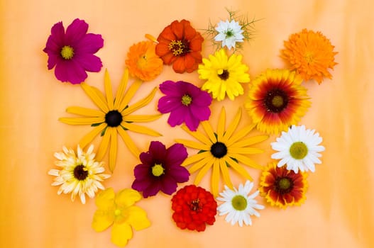 Flowers 1