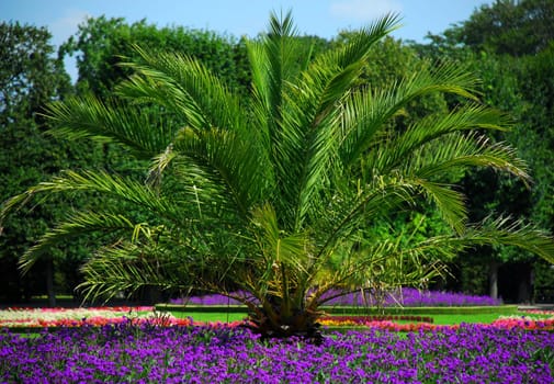 Public Park