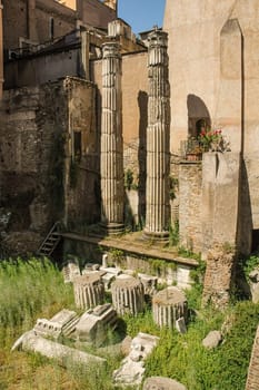 Portico of Minucia in the city of Rome, which surrounded the Roman temples of the Republican period in Largo Argentina