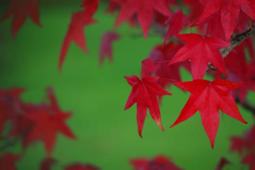 Autumn 3