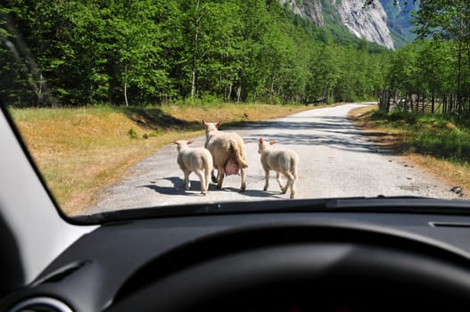 Such occurrences are not uncommon in Norway!