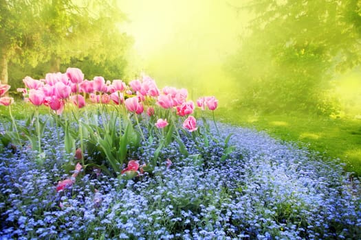 Sommer Garden