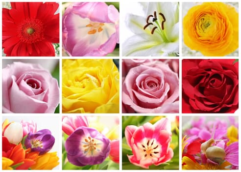Flower collage