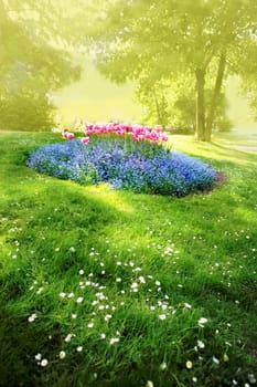 Sommer Stimmung