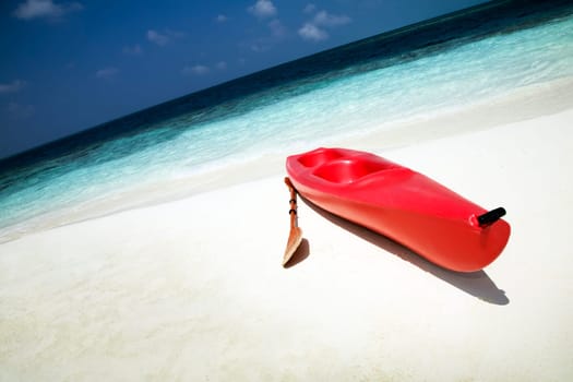 tropical beach