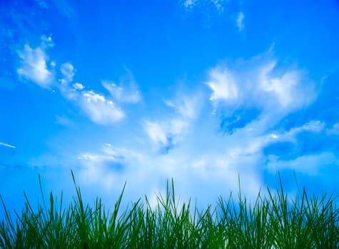 Sky panorama