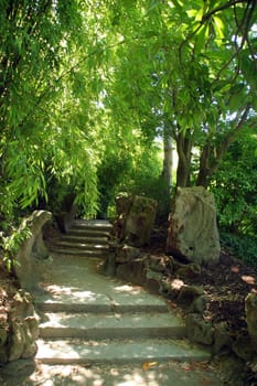 Zen garden